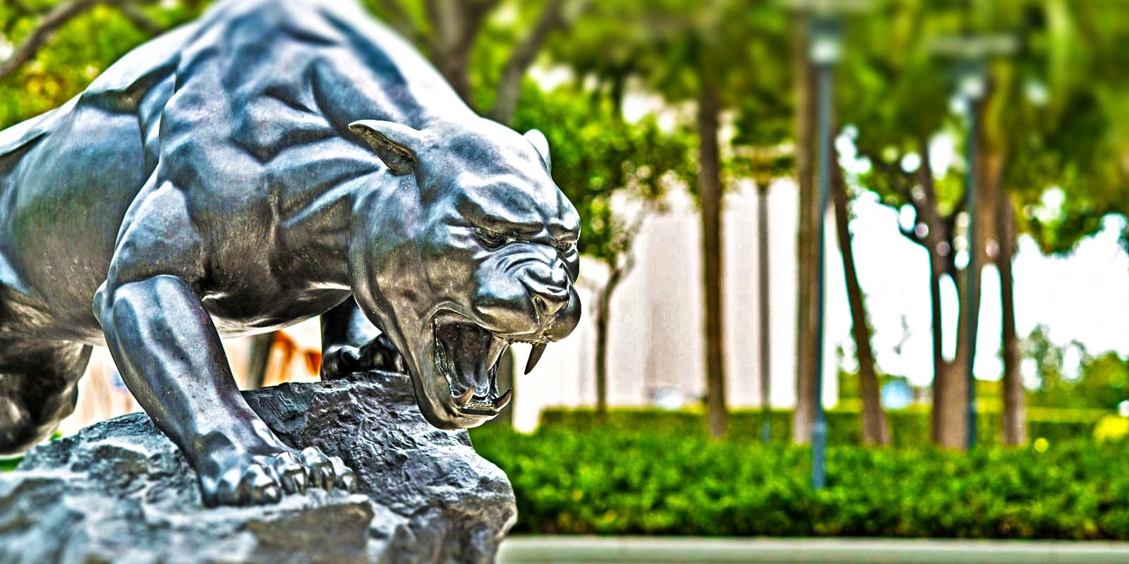 ics-300-400-fiu-academy-for-international-disaster-preparedness